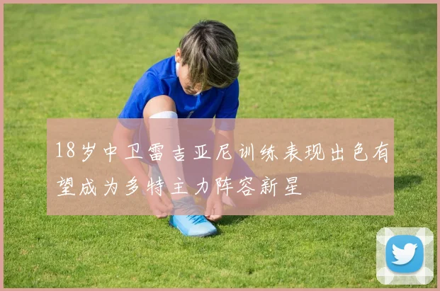 18岁中卫雷吉亚尼训练表现出色有望成为多特主力阵容新星