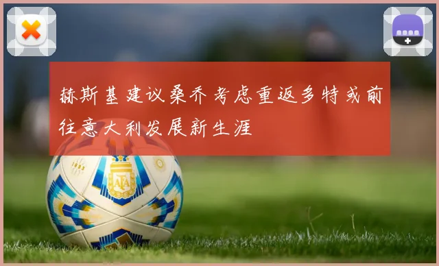 赫斯基建议桑乔考虑重返多特或前往意大利发展新生涯