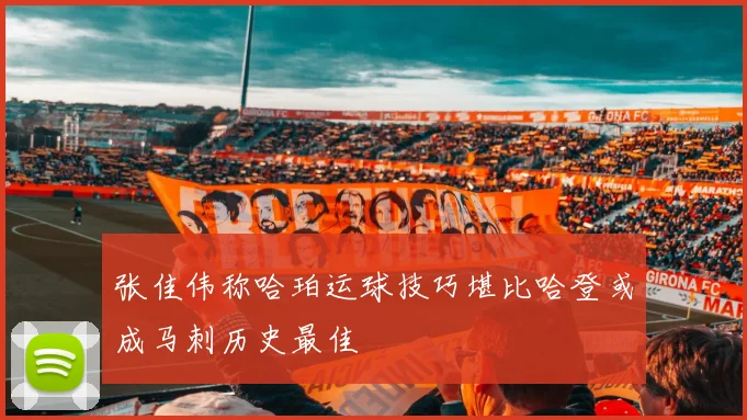 张佳伟称哈珀运球技巧堪比哈登或成马刺历史最佳