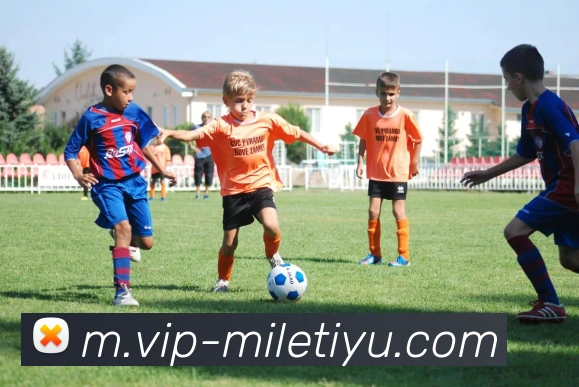 米乐体育APP 体育赛事宣传图