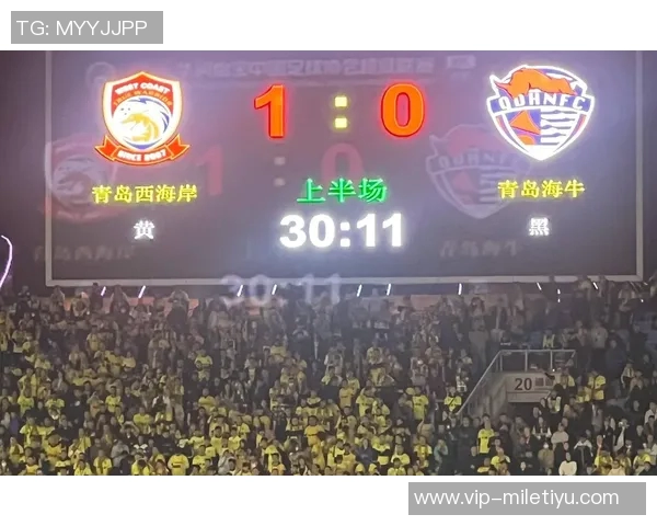 中超最新积分榜解析海港继续领跑蓉城紧随其后申花争夺榜首机会仍在